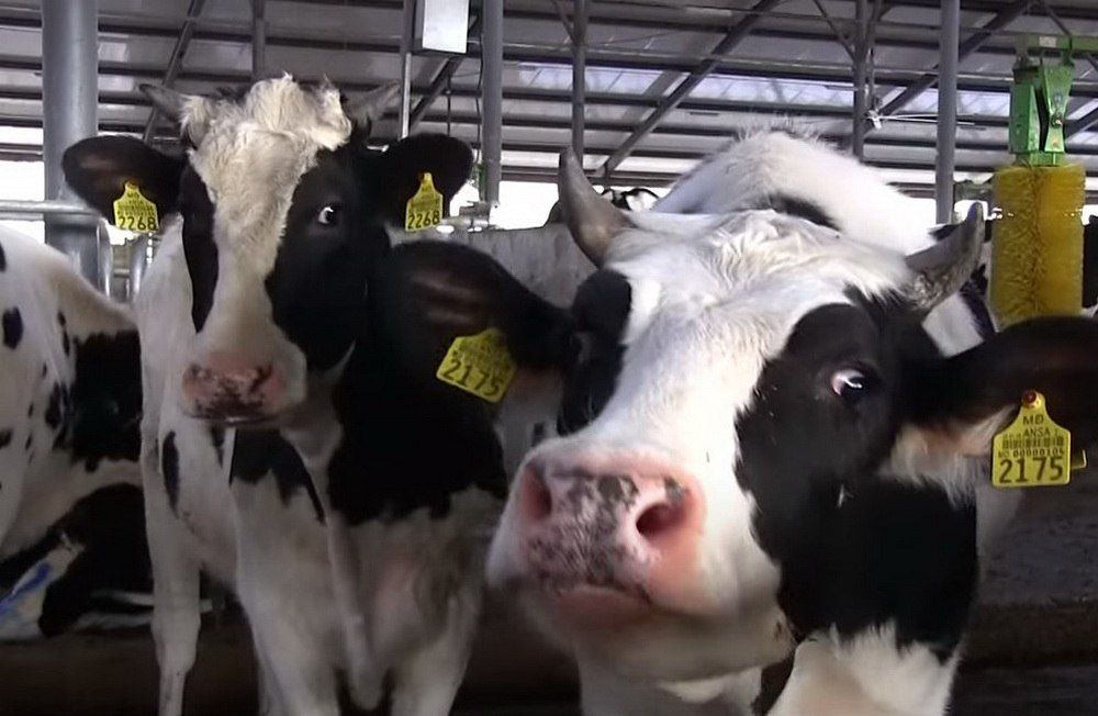 ��������� ������� ��� ���� ������������ �������� ���� ���������������� ������������ � ������������ (����������) ����������, ������� �������� �� ����� ������������ � ����������� ������� � ������������� ���������������� ������������ � �������� ������