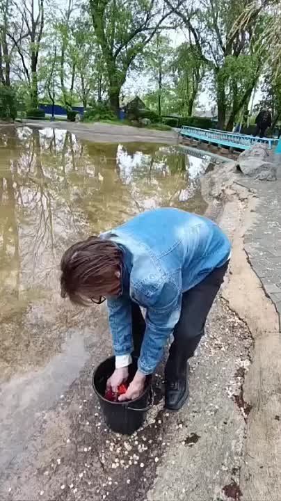 � �������� � ���� � ����� ������ ��������� ������� �����