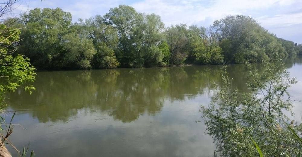 � ��������� ��� ������� ���� � ���� ������ �� ������� ������-��������������� ��������� �� 1,5 - 2,5 �, �������� �������������