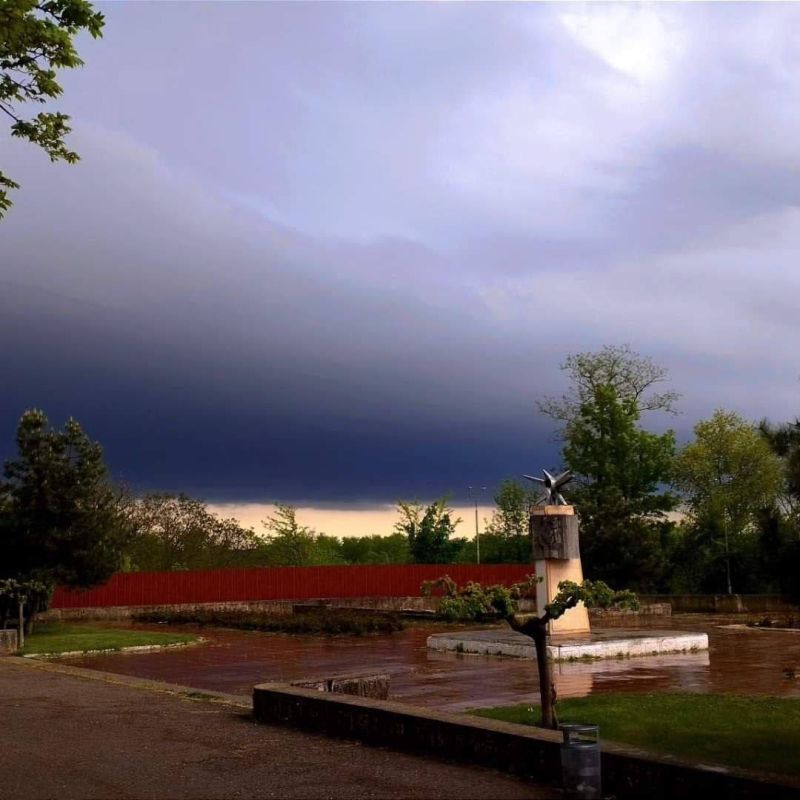 ���������. ����������� �������� ����