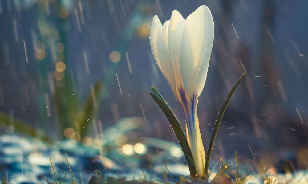 �� ��������� ������ ��������� ������������ �������� ������, ������� ������� ��������������� �����