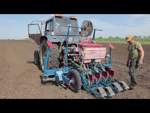 ������� ���� ��������� �� �����, �������������, � �����