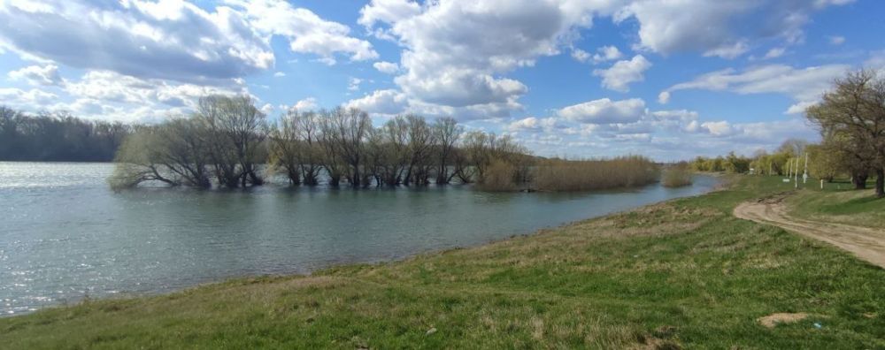 ������� ���� � ������� ����� ���������� �� 4 ������