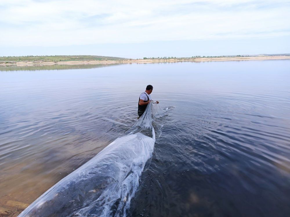 ������ �������� �������� ���� ����������