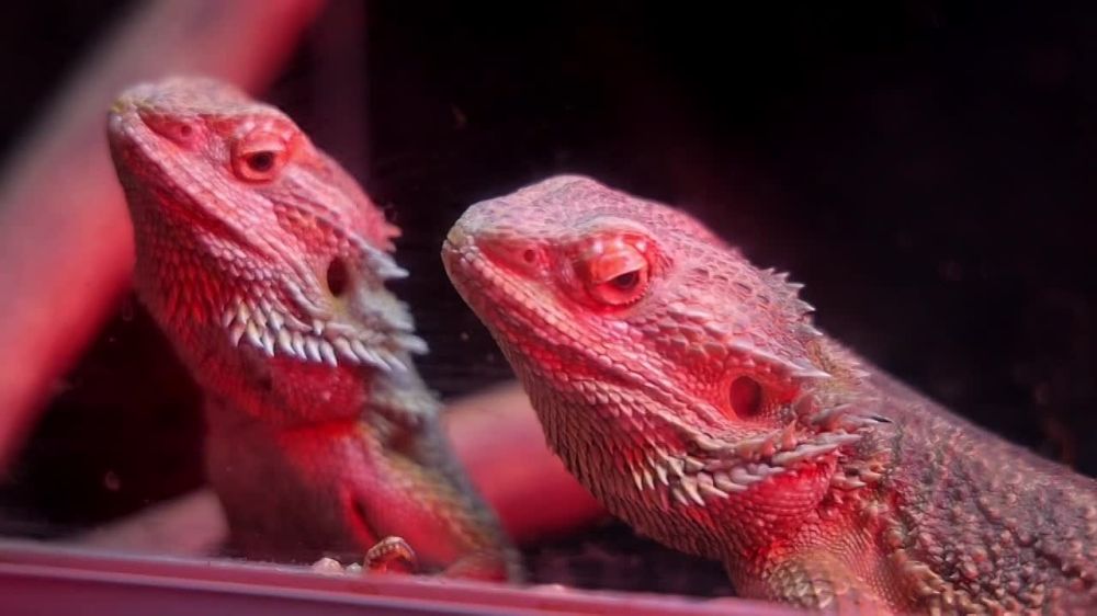 ����������� ����� ������� ���������� �� �������� �������� � ���������