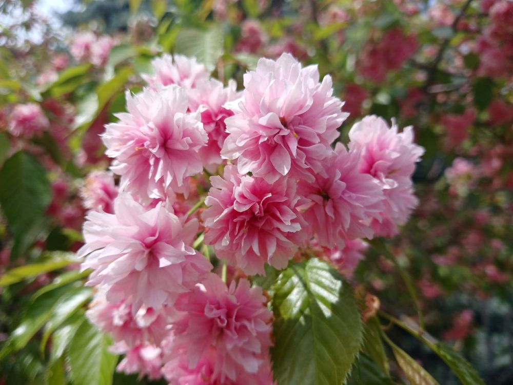 ��� ������� ��������� ����� �� ����� �� � ��, 20 ������ ��������� ���������� ����������, ���� ������� ��������������� �����