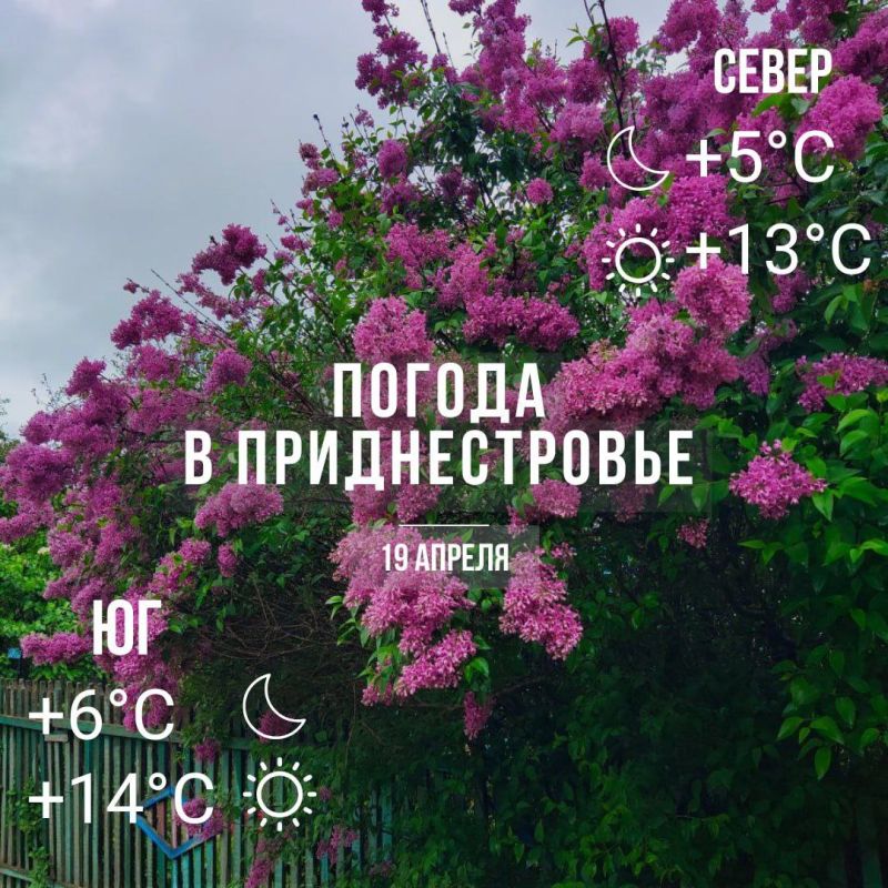 ������� � �� +14��. ������� �����