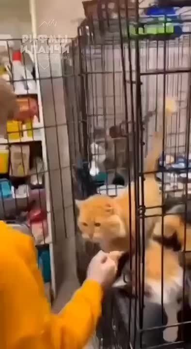 ������ ������ � ����� ��� ��������, ����� ������� ���� �����, �� ��������� ����� ������ ���� ����� �� ����