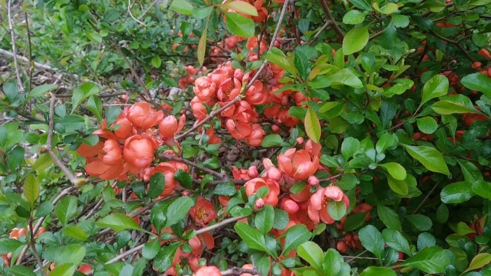 ������� ������. �������, 19 ������, ��������� �������� � ������������ ������