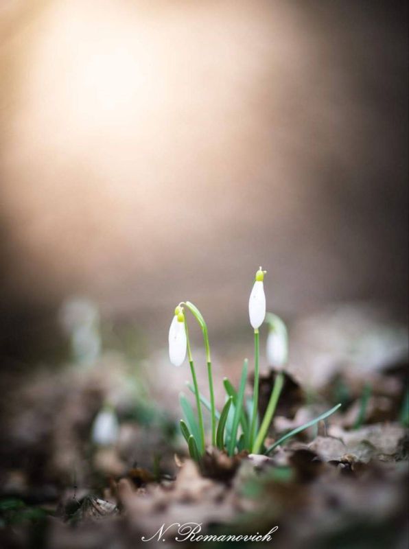 �������� 19 ������ �� ������ ������� ���� ���������� �������� �������� �������� � ���� �����������