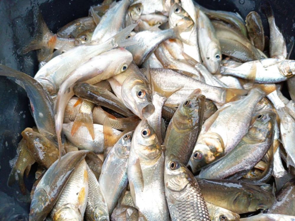 �������� ���������� � �������������