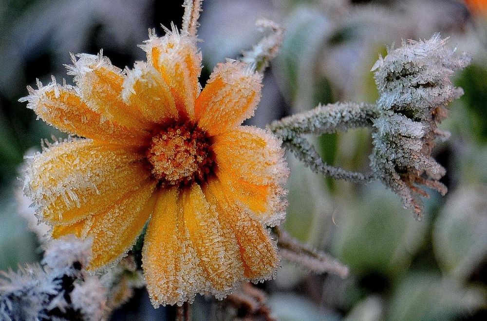 �������� ������������� � ���������� �� -1 �� ����� ���� �����