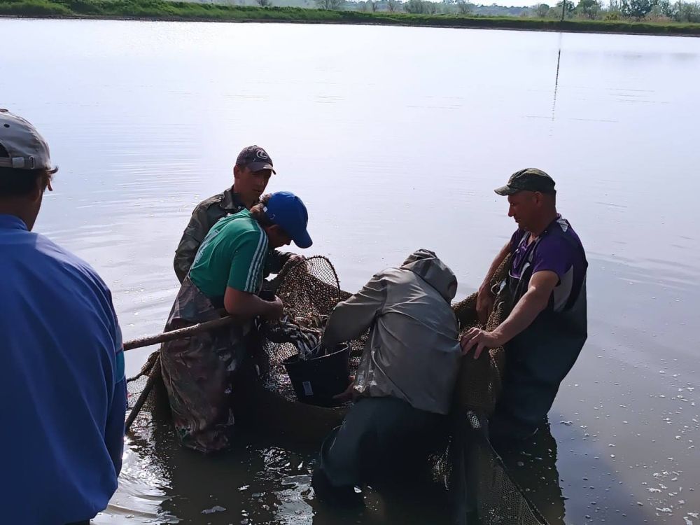 � ���������� ������������ �������� ���� ���������� ��������