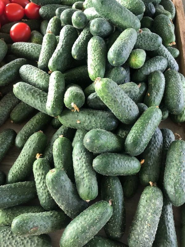 ���� �� ����� � ���������: