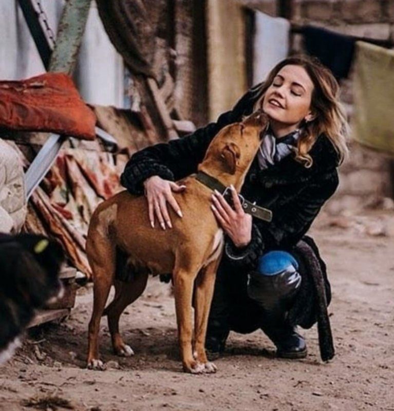 ��������� ������� � �����, ��������� ��������, �������� ����������� ����� ��������