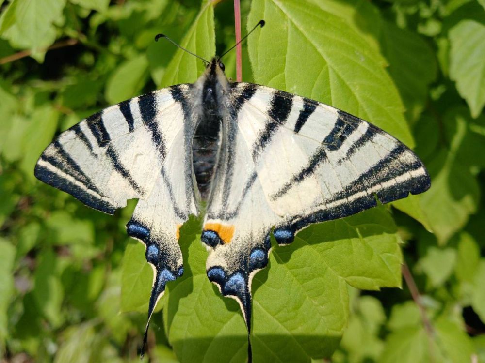 �� +16�C � ������ ��������� ������ � +23�C � �������� ������� ���������