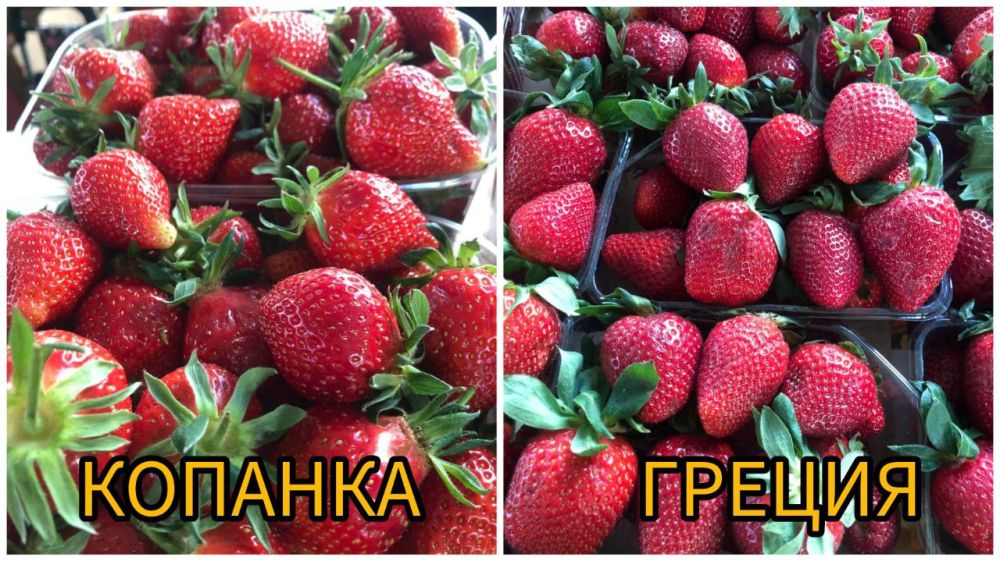 ���� ��������. 140 ������ �� �� � �� �������. 80 ������ � ���������