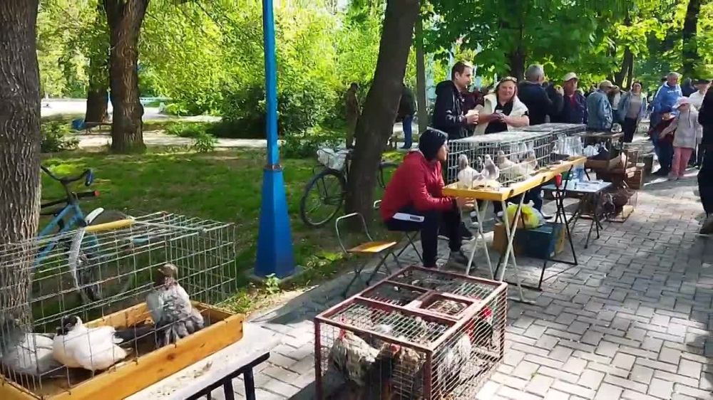 � �������� �������� �������� ��������-������� �������� ���� � ��������