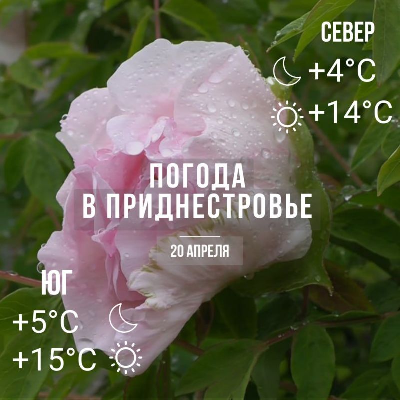 ������� � �� +15��. ������� ��������������� �����