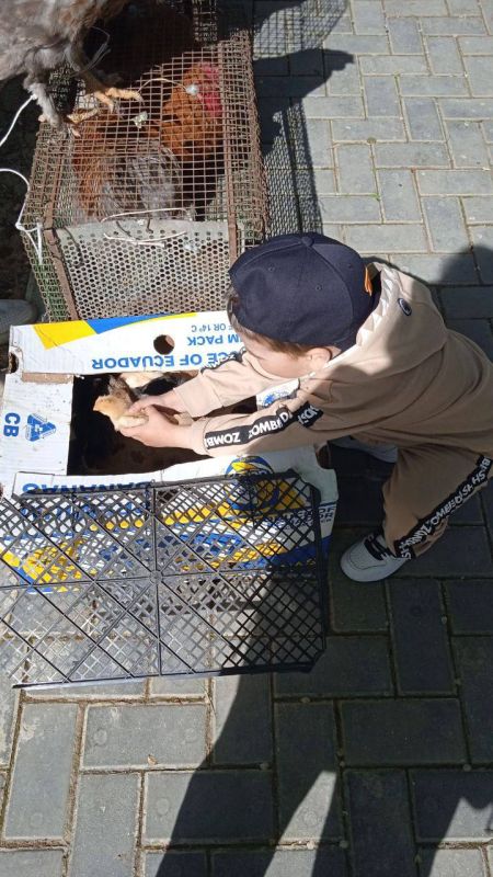 ������� �� ��������-������� � ����� ����� �.�