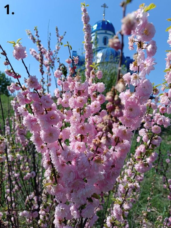 ��������� ��������� ����� �������� ����� ������� ����!�, ������������ ����� ������� ��������� � ������ �������������� ���