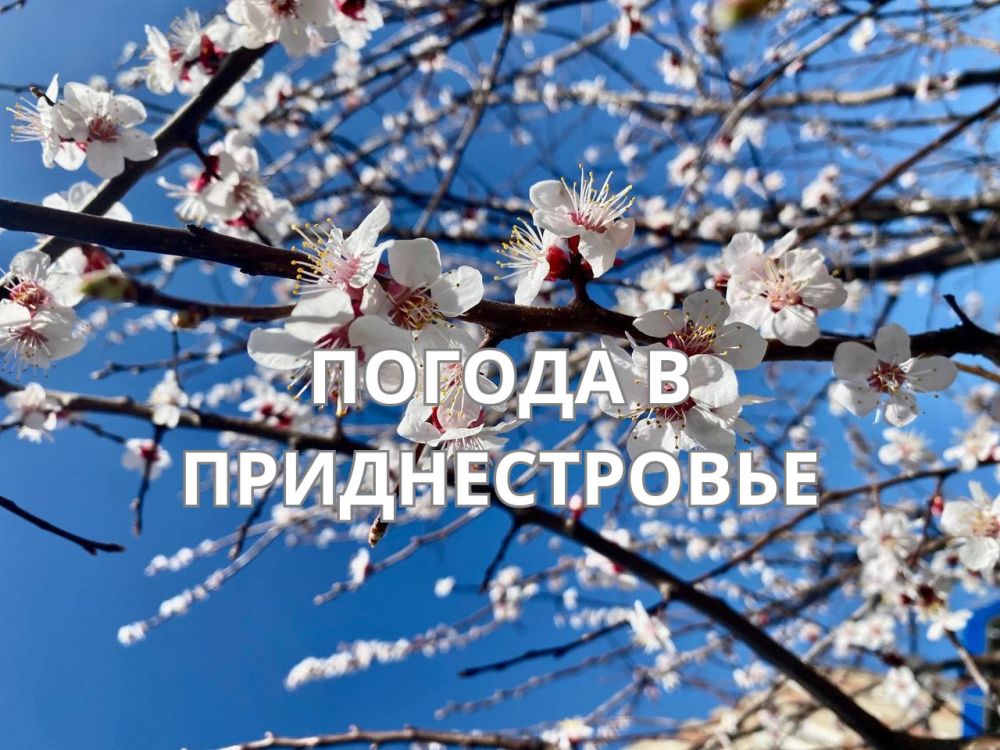 20 ������ ��������� ���������� ����������, ���� ������� ��������������� �����