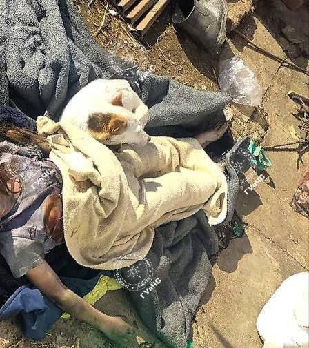 �������� � ���������������� ������ ������ ����� 5 ����� � ������