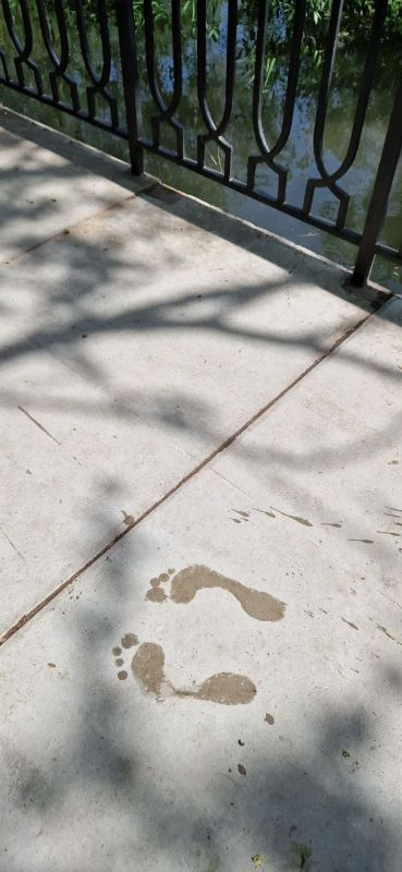 �����: ��� ��������������� ������� �� �������, ��� ���������� � ������ �������