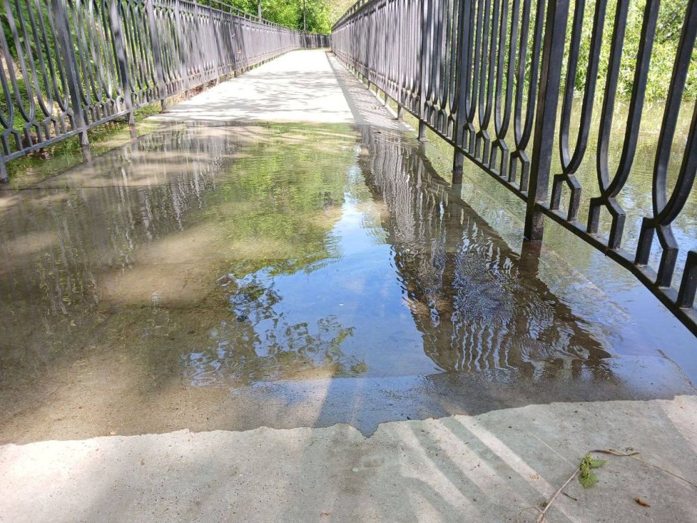 ����� �������� ������ ��� ����