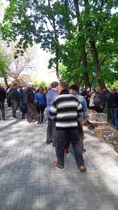 ����� ������ � �������� � �������� ��������