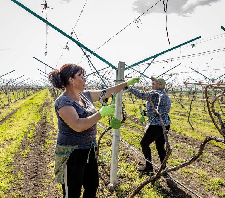 ������� ���� ��������� �� �����, �������������, � �����: ���� �������� ���� ��� ������