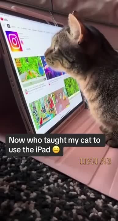 �������, ����� �� �� ����� ��� �� �����: � ���� ����� ���� ���� �������� ��������� �� ������ ���������� ������������