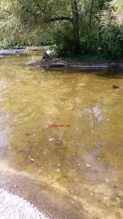 � ����� ����� � �������� ��������� ������ ������� �����