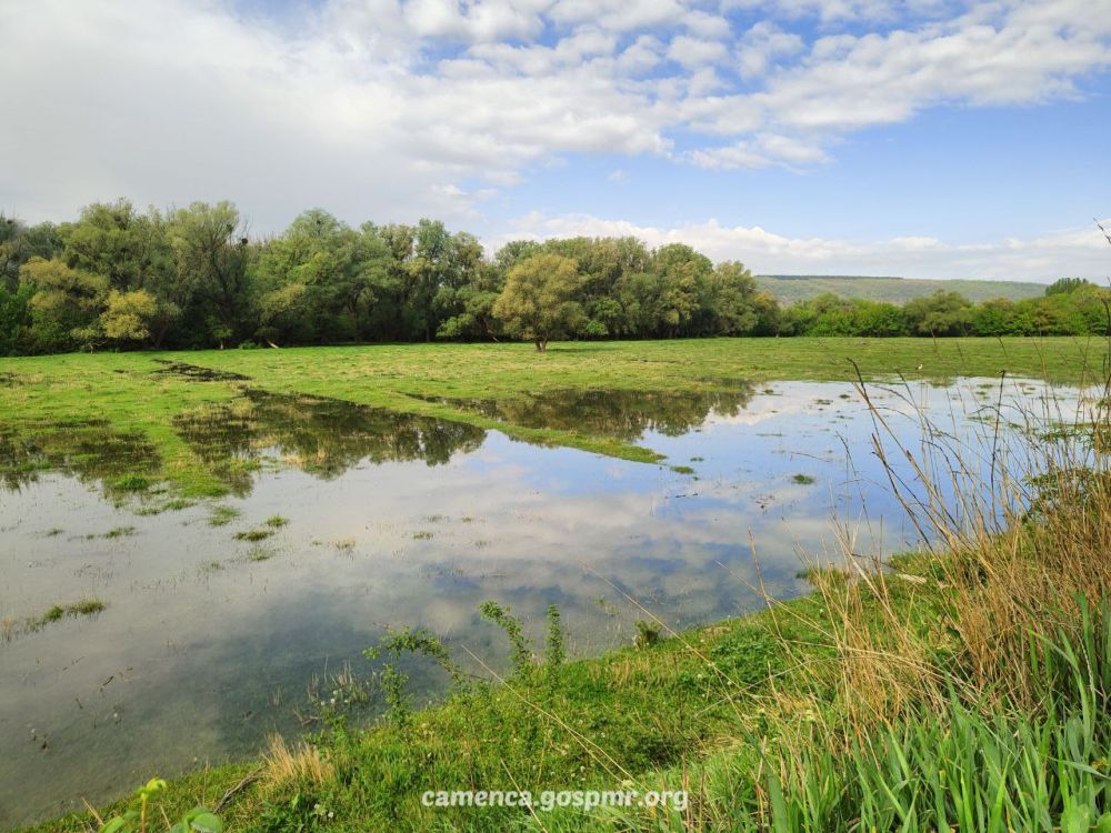 ��-�� ��������� ������ ���� � ������� ����� � ��������� ������ ����� �� �������