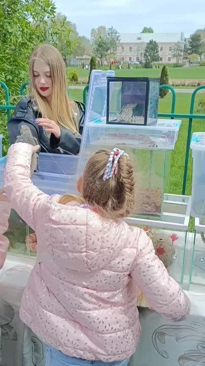 �������������� ����� � ������� � � �������������� �����