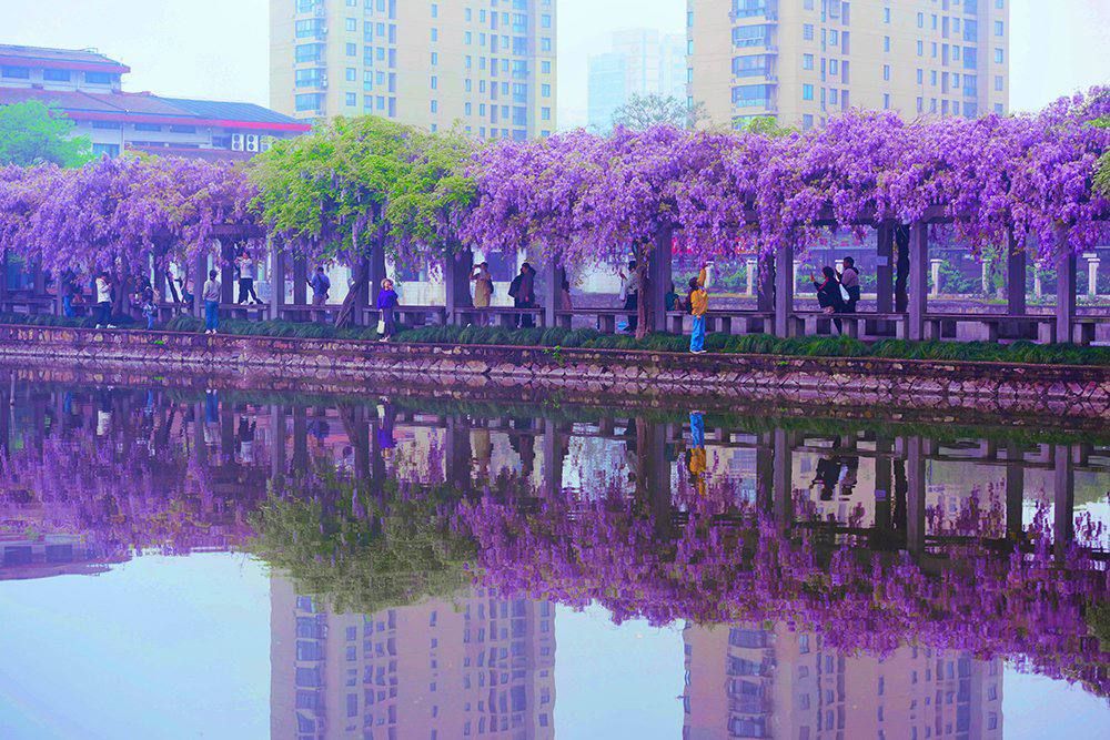 � ��� �������� � �����. ������� ���� ������������ �����, �������� ������ ���� ���� ������. ����������-��������� �������� ����� ��������� � ����� ������ ������