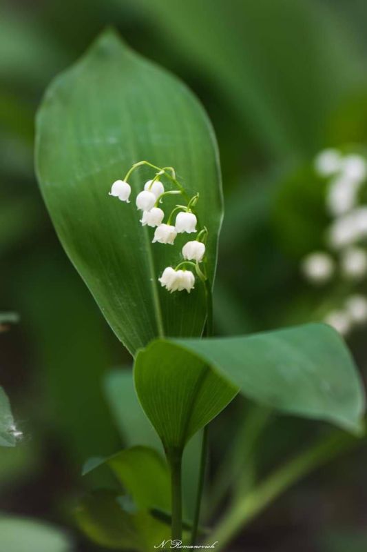 ������� ������.. �� ��� ��������� ��� ����� �������� ������ � ���� ������ ������� �����