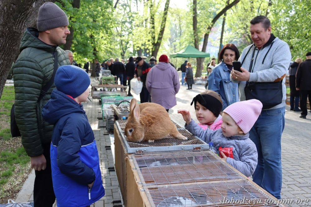 � ������� ������� �� ����� ������������� �������� ������������ ��������, �������, �������� ������� � ������� ����������