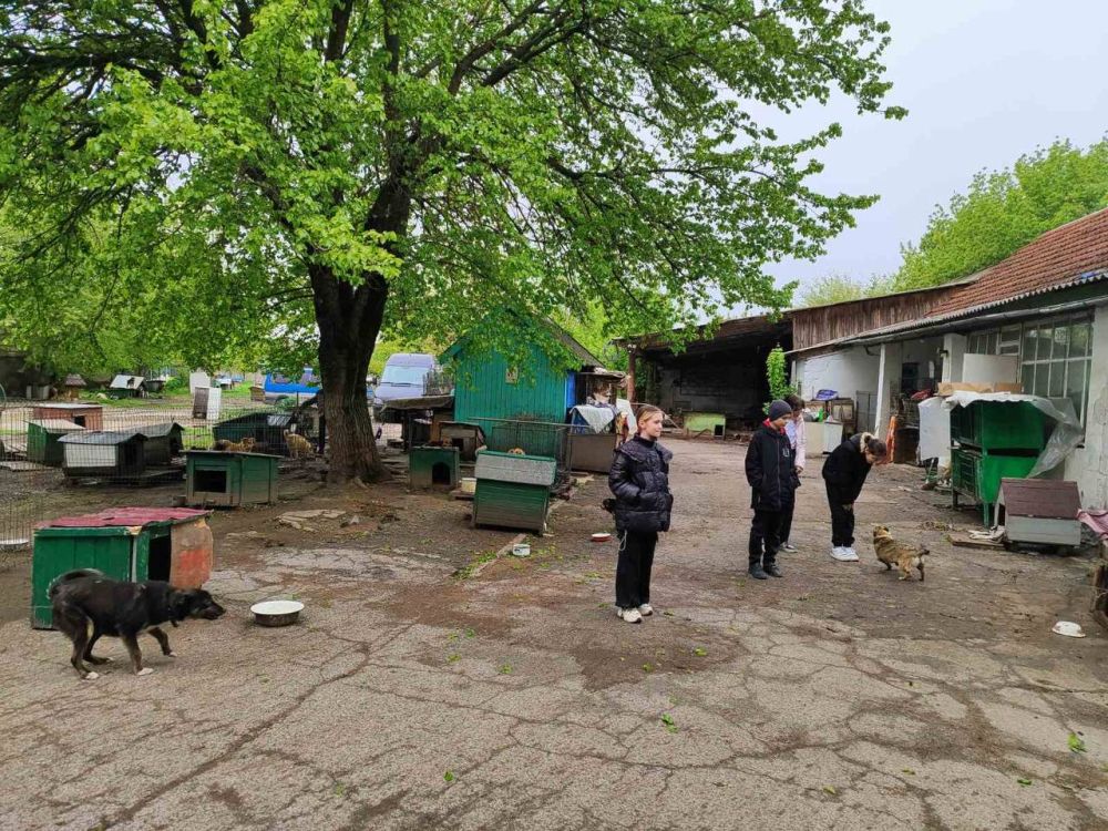 ������� ������ �����. ������� � ������ ��������������� ������ ����� ������������� �� 15-� ����� ������� ������� � ����� "������ ������ - �������� ����"