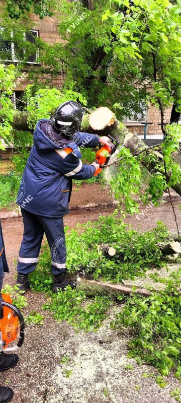 ����������� ��������� ��������