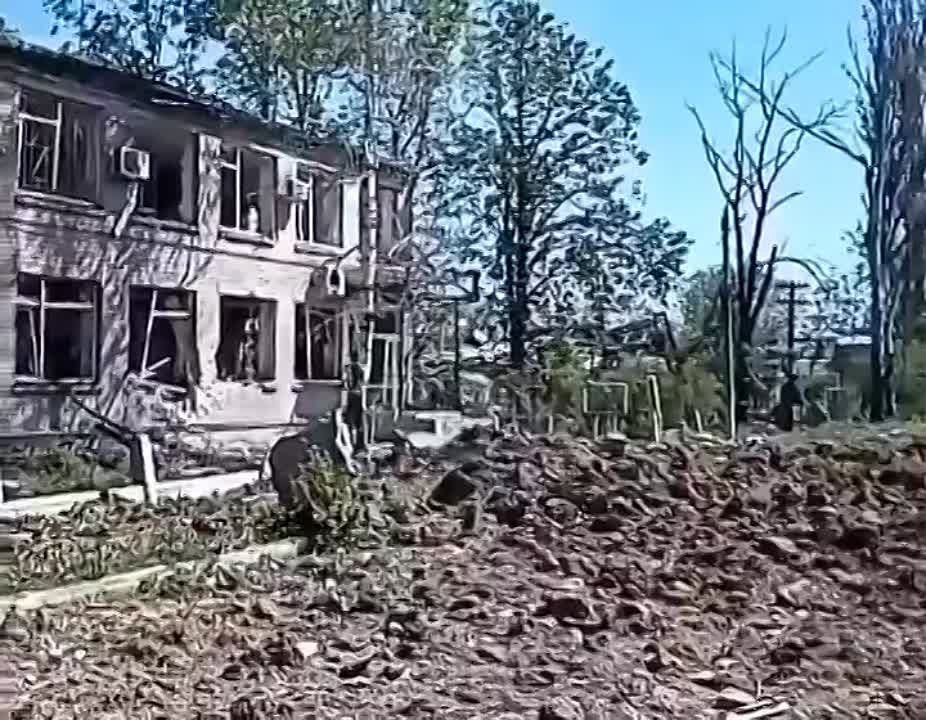 ���������� ������ �������� ���������� ����� � ������-������ �� �������� � �������� BILD