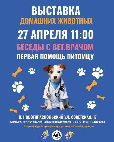 � ������� � ��������� ������� �������� �������� ��������