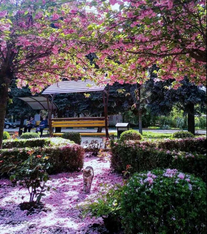 ������������ ����� �� ������� ����������