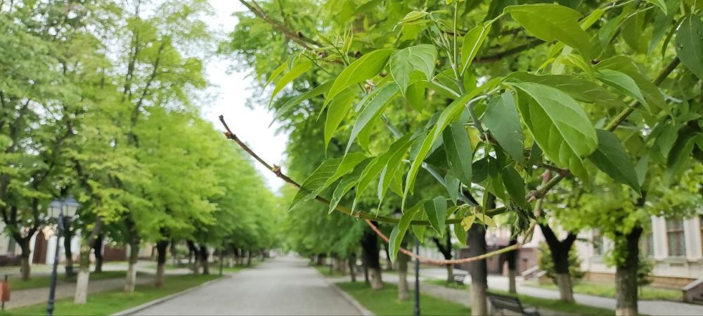 ������ ���������, � ������ ����� �����