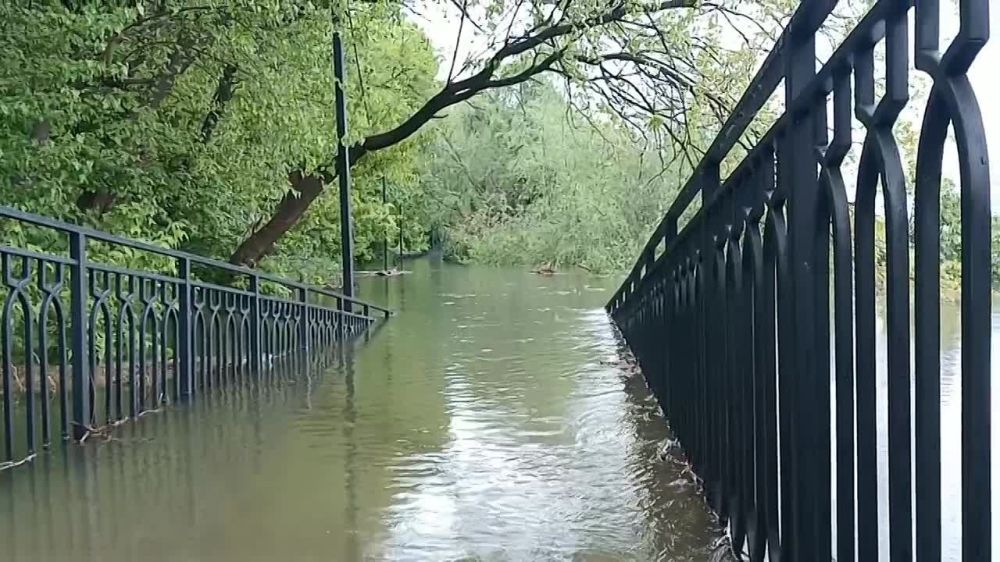 ����� �������� � �������� ���� ��� ����