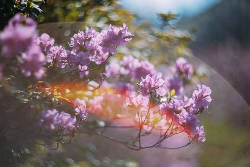 ��������� �����. ���� ������ ����������, �� ��� ����� ���� ���� ������� ���������� �� +21��