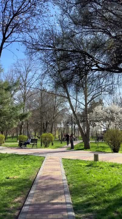 �������� ����� �� ��������� �� �������