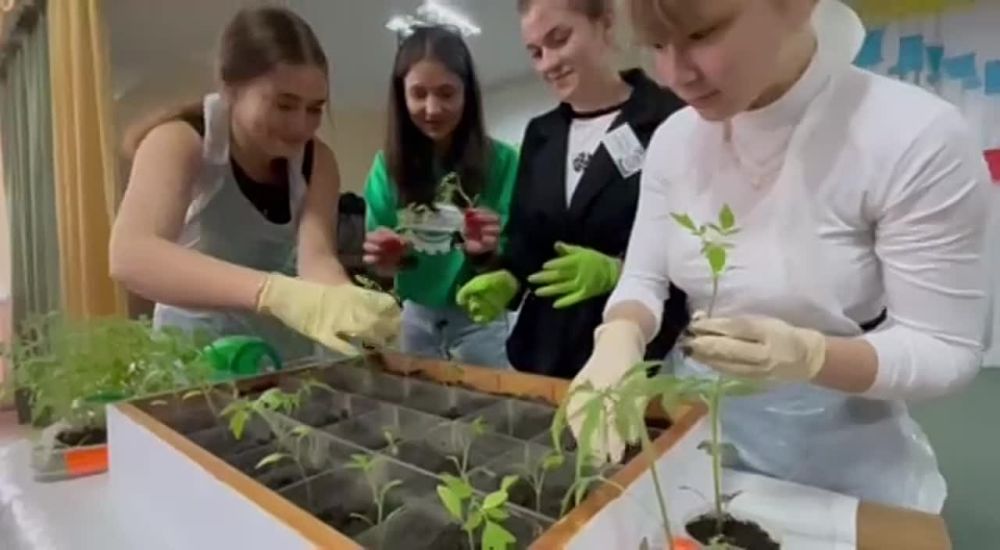 ��������� ������ ������ � ������������� �������-����������� ��������