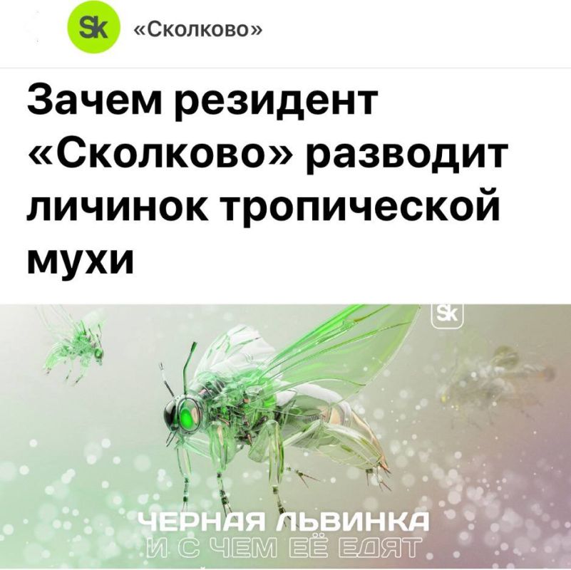 ���� �� ��� �������� � �� ������ - ��������� �������, ��� ��� ����� �������� � ���� ��������: ���������-�������� ������ ���������������� ������������ � ������������� �������������� ����������� ���� ������ ������� � ����� ������ �� �����