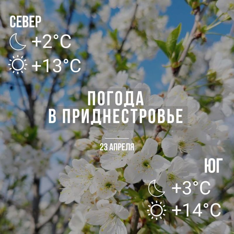 ���� � �� +14��. � ������ ������� ��������������� �����